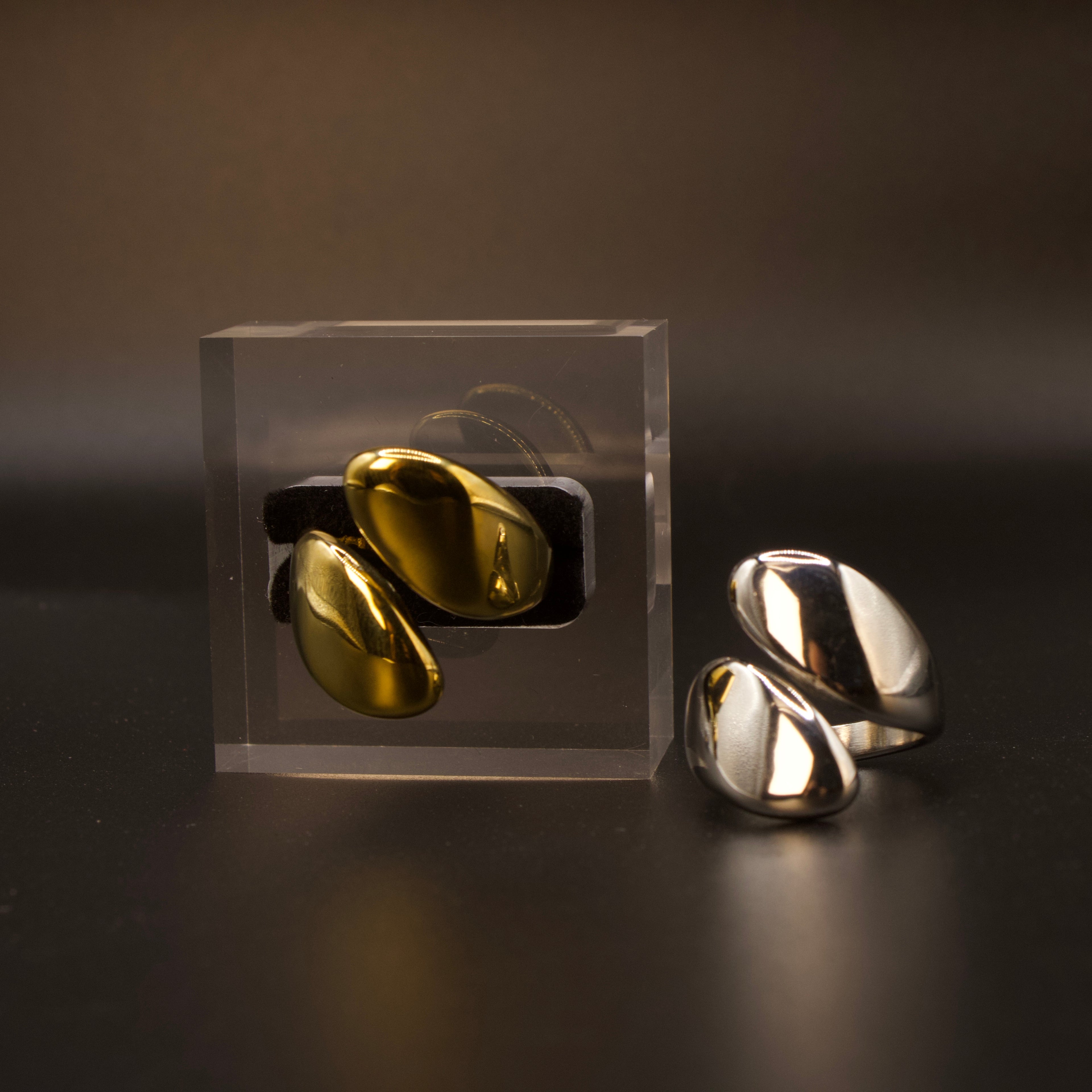 Twin eclipse ring