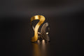 Liquid core ring